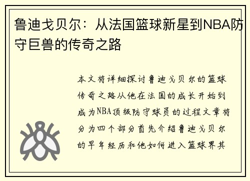 鲁迪戈贝尔：从法国篮球新星到NBA防守巨兽的传奇之路